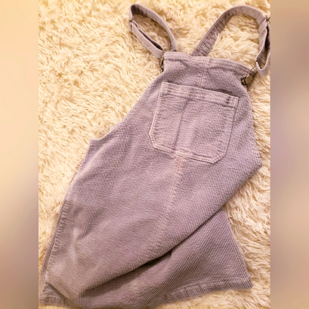 Wild fable corduroy dress